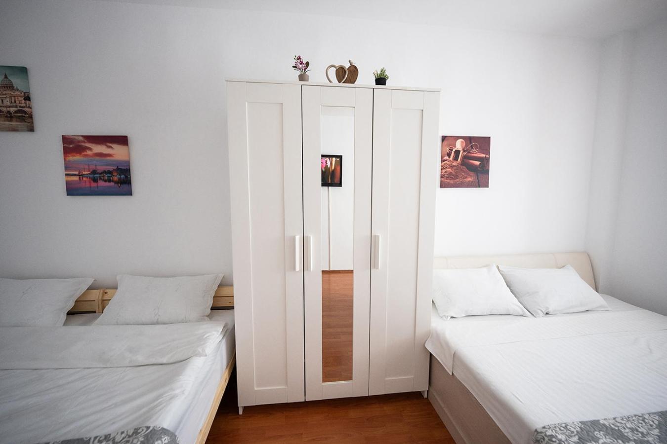 Aurel Vlaicu Apartment- Gara 布拉索夫 外观 照片