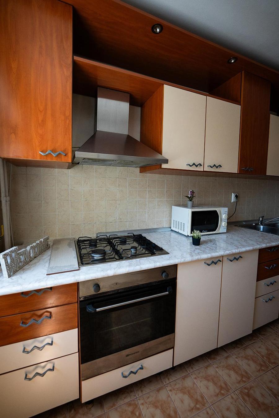 Aurel Vlaicu Apartment- Gara 布拉索夫 外观 照片