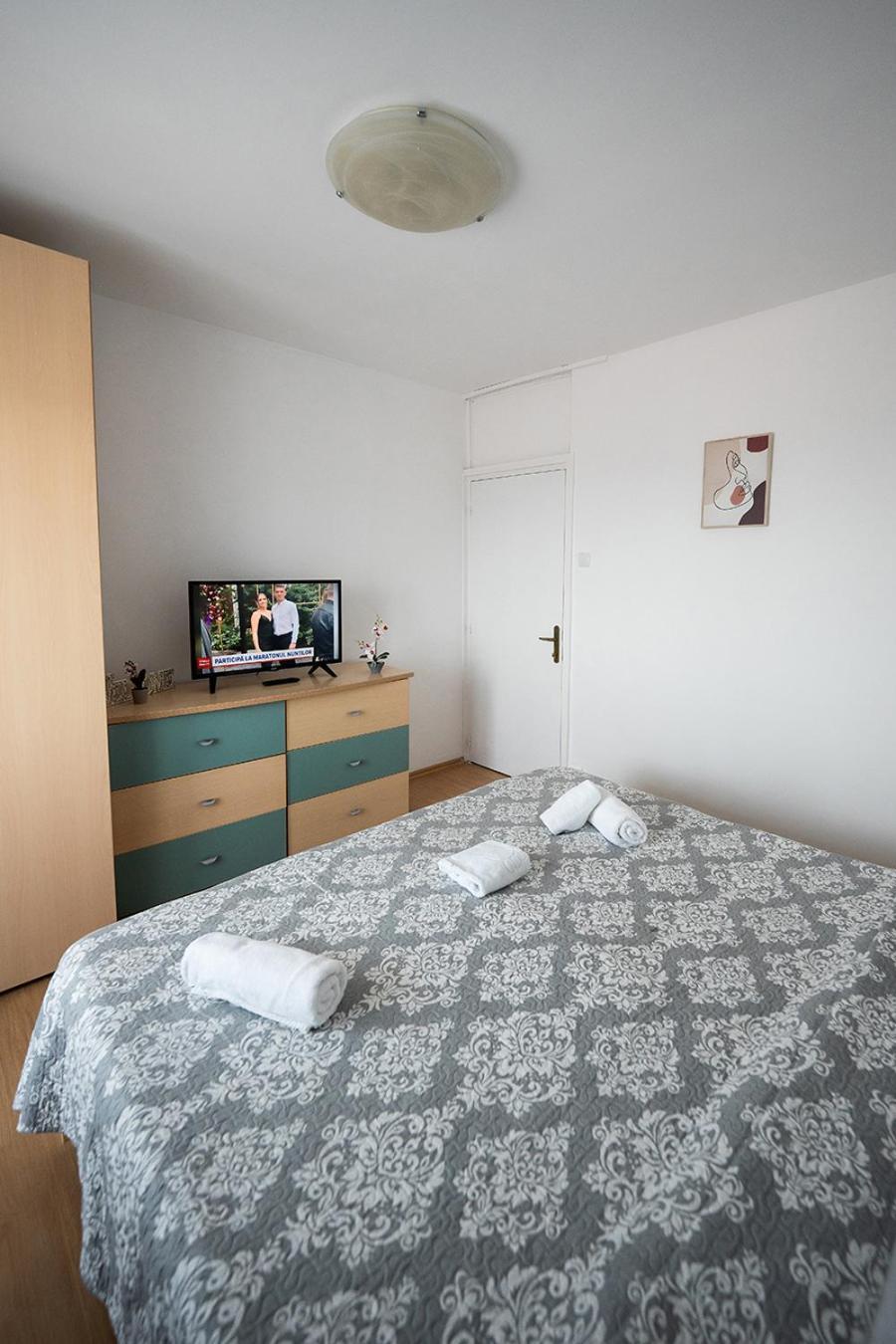 Aurel Vlaicu Apartment- Gara 布拉索夫 外观 照片